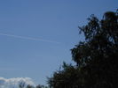 dscn7295