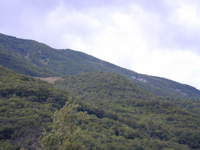 dscn7325