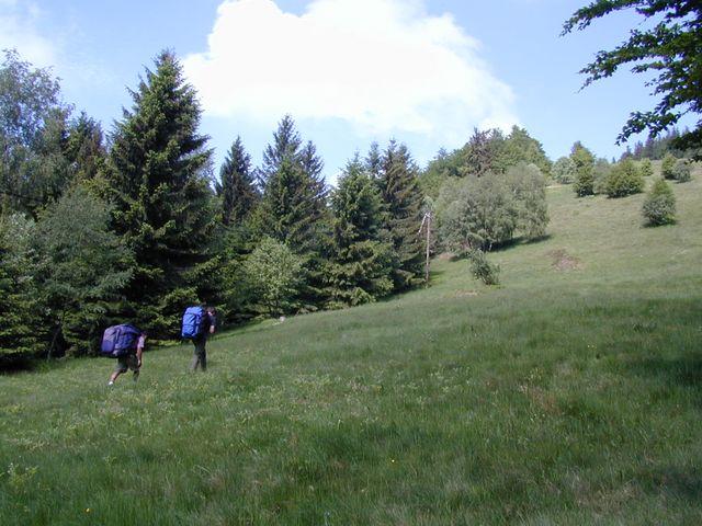 dscn6741