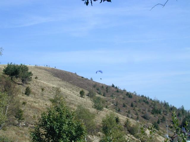 dscn6779