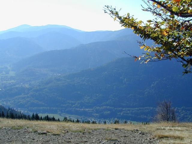 dscn6791